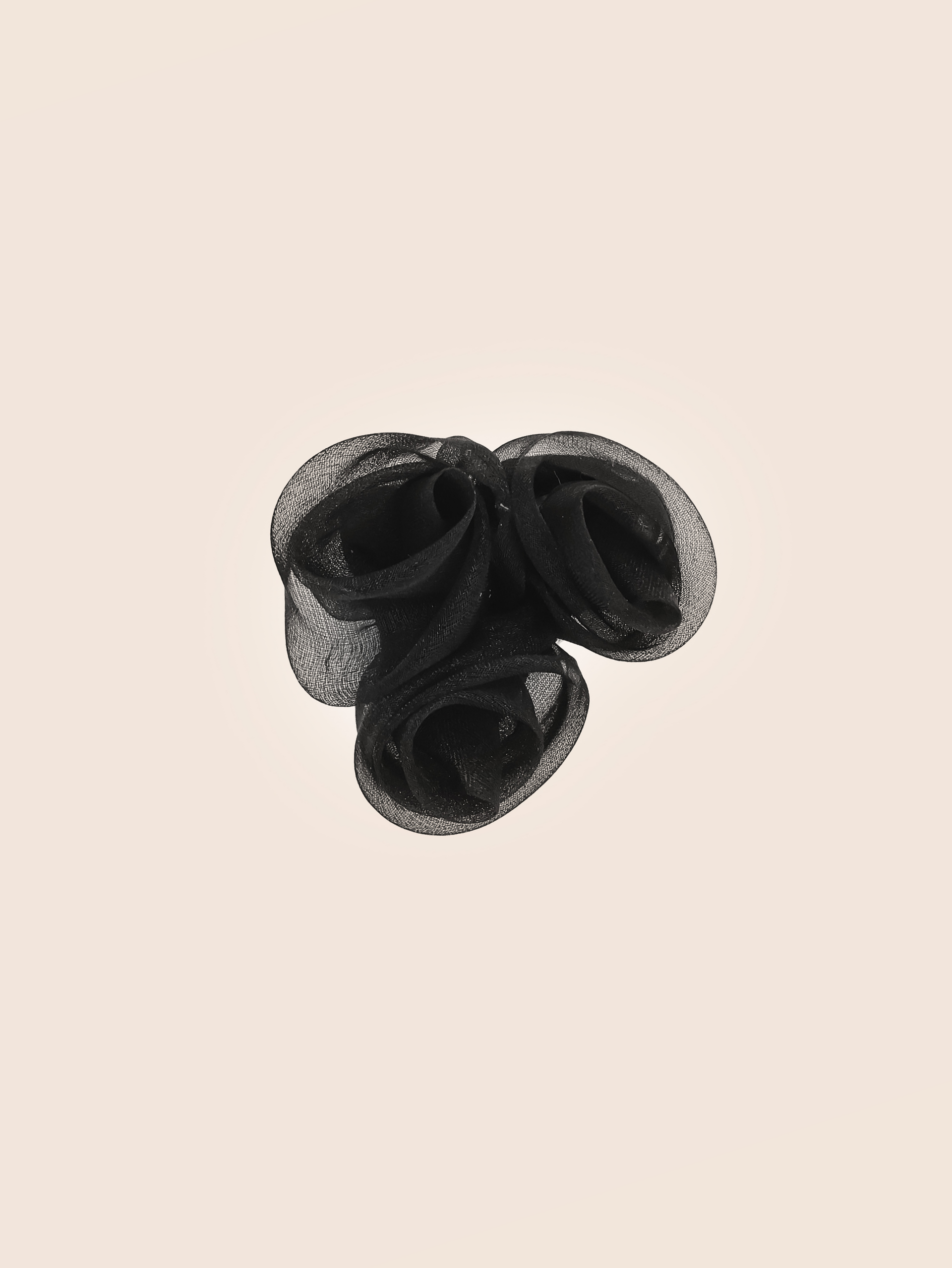 Roses Organza Noir