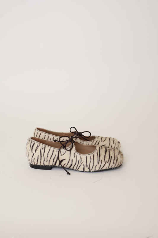 Sample Gaia Zebra 38